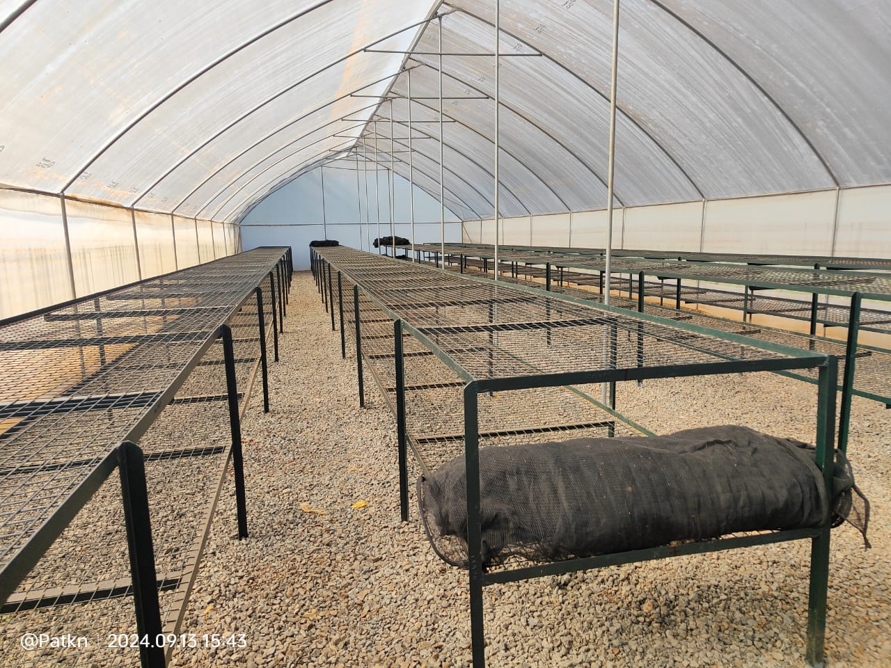 Photos of Solar Coffee Driers